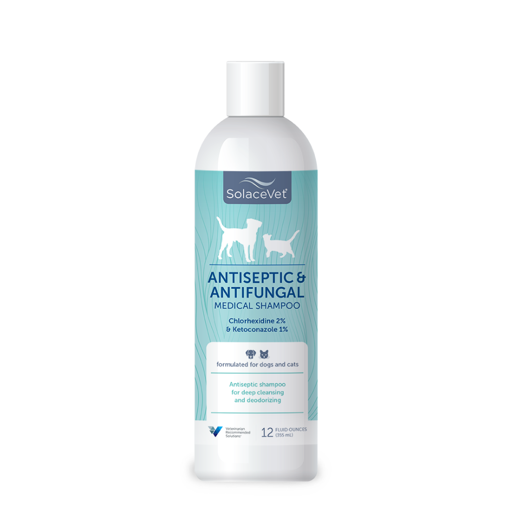 SolaceVet® Antiseptic & Antifungal Medical Shampoo 12oz